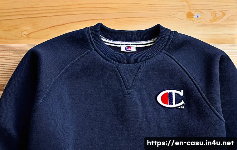 챔피언 Campion 스웨트셔츠 추천 - A close-up, high-resolution image of a classic Champion Reverse Weave crewneck sweatshirt displayed ...